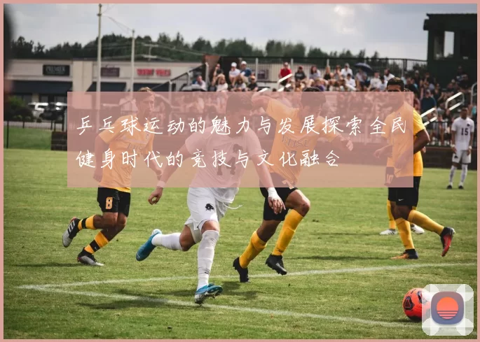 乒乓球运动的魅力与发展探索全民健身时代的竞技与文化融合