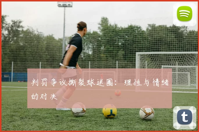 判罚争议撕裂球迷圈：理性与情绪的对决