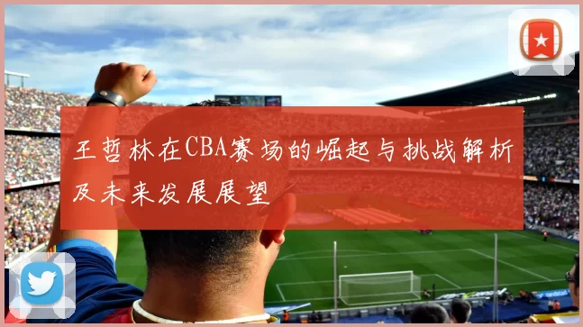 王哲林在CBA赛场的崛起与挑战解析及未来发展展望
