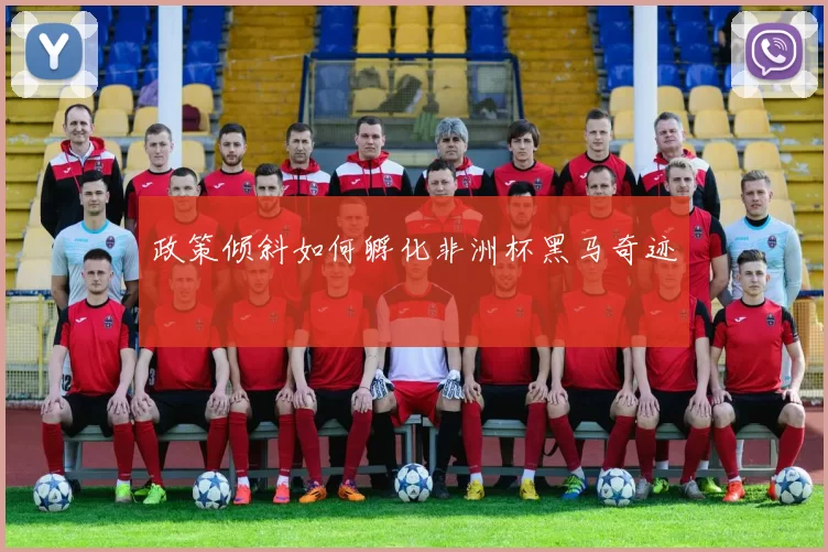 政策倾斜如何孵化非洲杯黑马奇迹